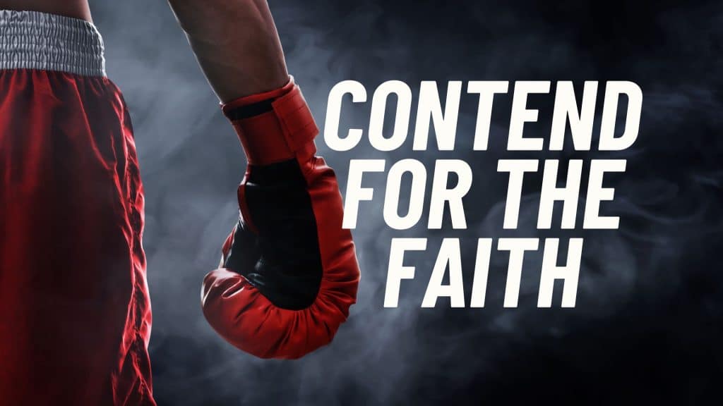 hip view of boxer with his glove ready for the fight