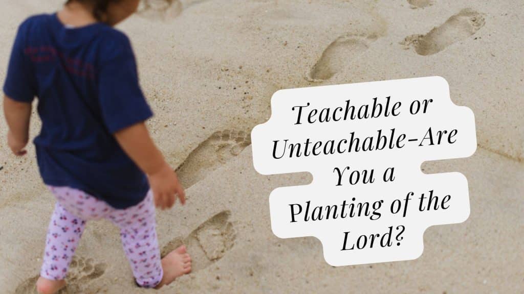 little girl following in the sand footprints of an adult-1